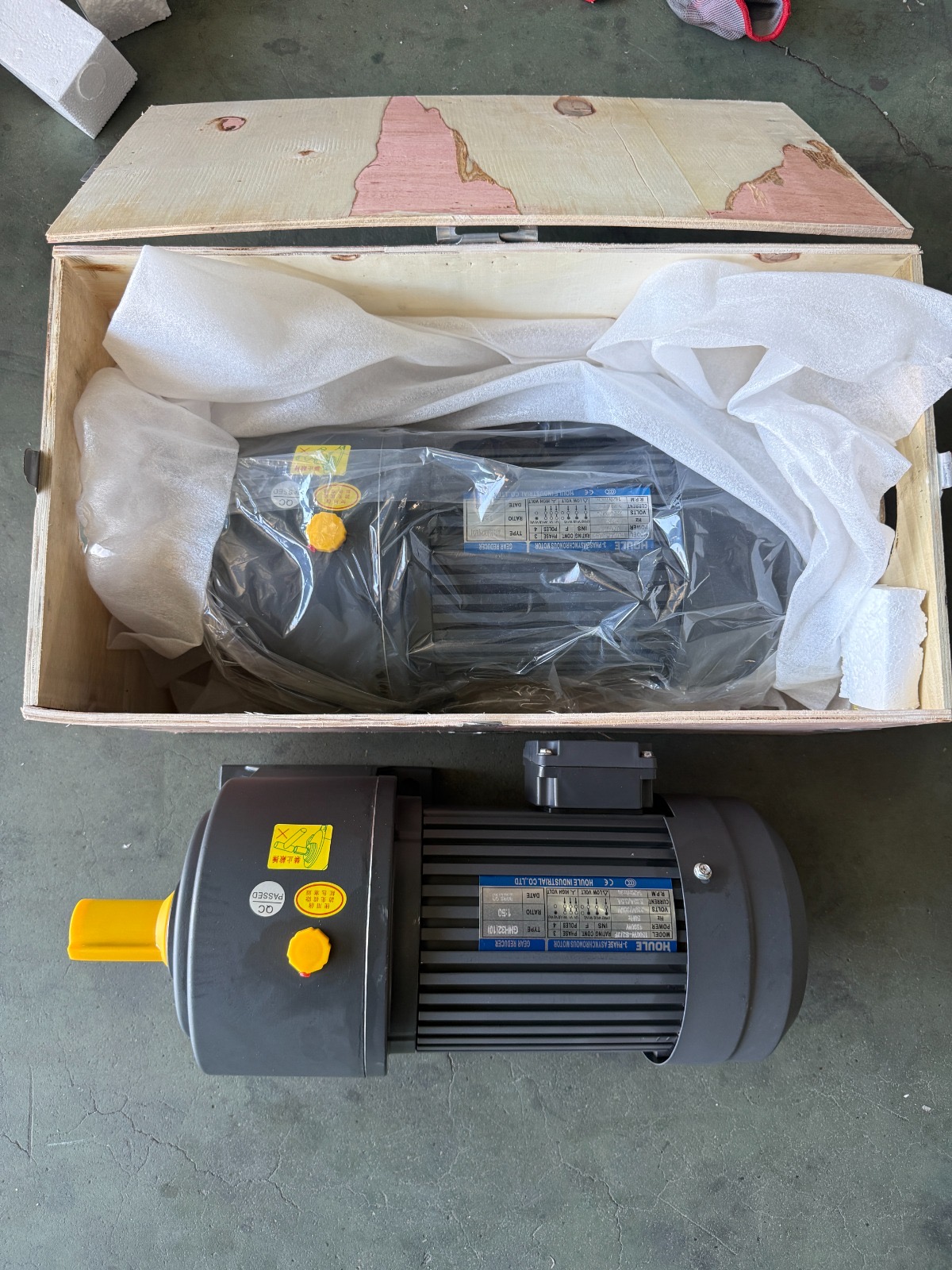 Conveyor Motor and Gear